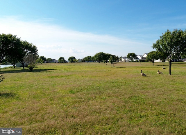 view of yard with a rural view