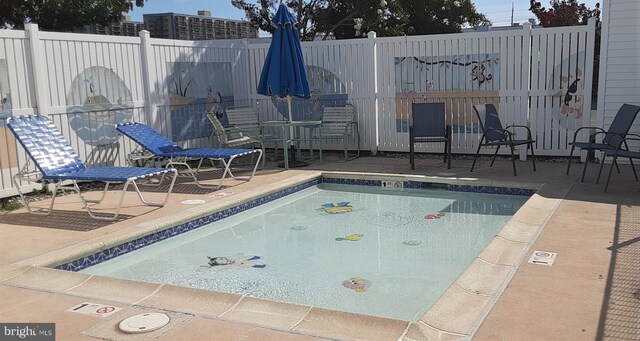 view of pool featuring a patio