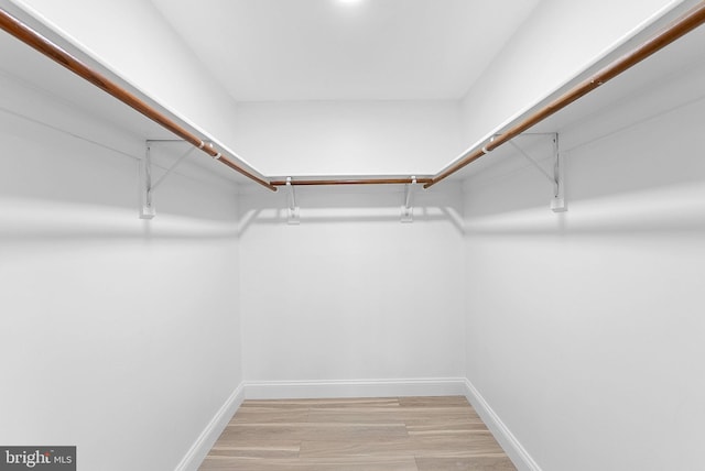 spacious closet with light hardwood / wood-style floors