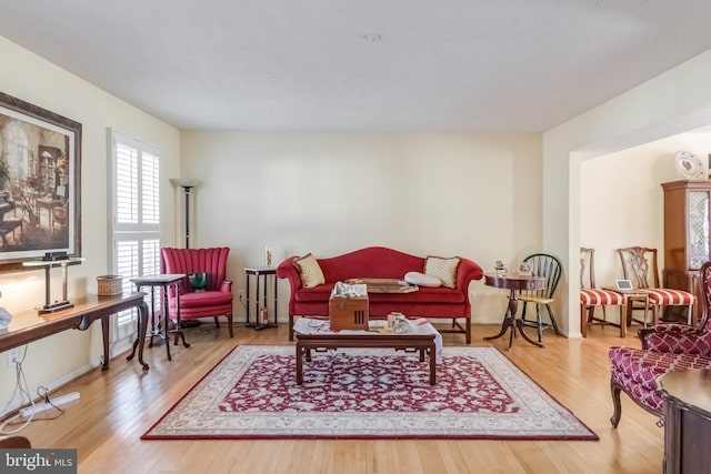 living room with light hardwood / wood-style floors