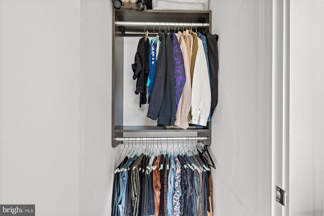 view of closet