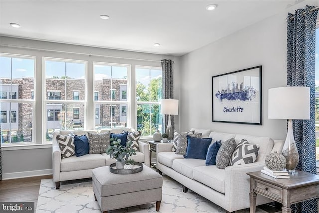 living room with hardwood / wood-style floors