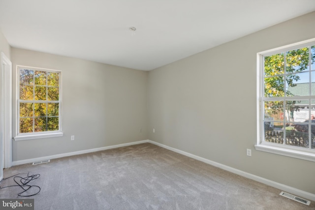 empty room featuring a healthy amount of sunlight and light colored carpet