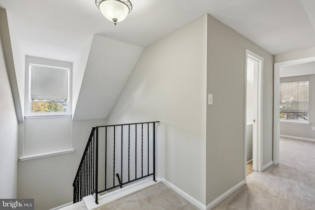 staircase with vaulted ceiling and carpet