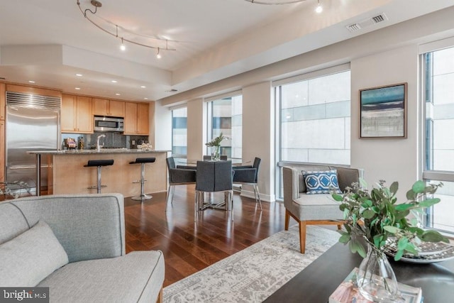 living room featuring dark hardwood / wood-style flooring and sink