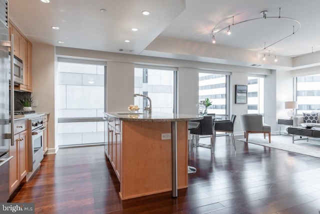 kitchen with sink, appliances with stainless steel finishes, dark hardwood / wood-style floors, an island with sink, and light stone countertops