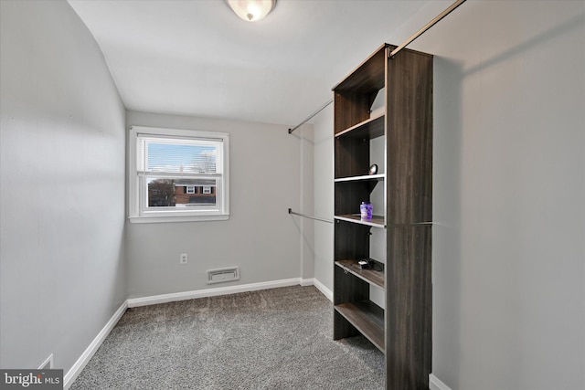 walk in closet with carpet