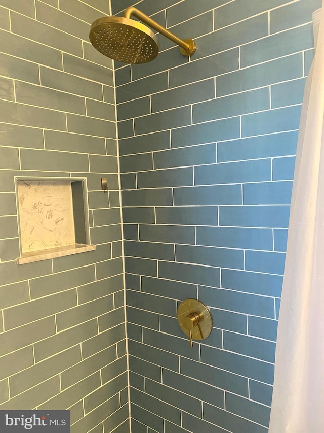 interior details with walk in shower