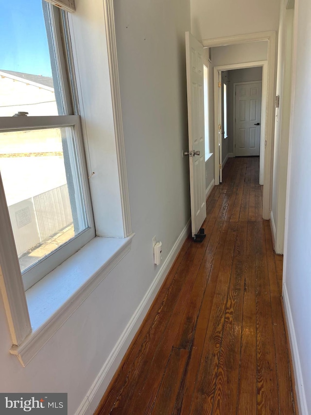 hall featuring dark hardwood / wood-style flooring