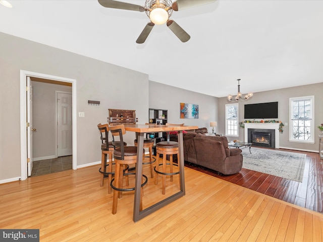 dining space featuring light hardwood / wood-style floors and ceiling fan with notable chandelier