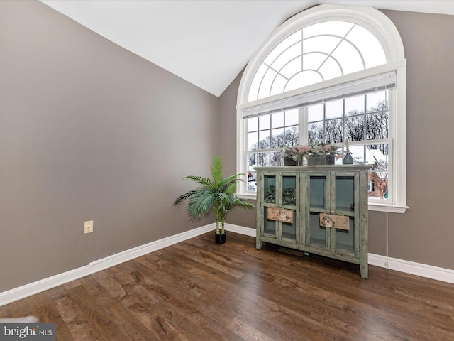 interior space with lofted ceiling and dark hardwood / wood-style flooring