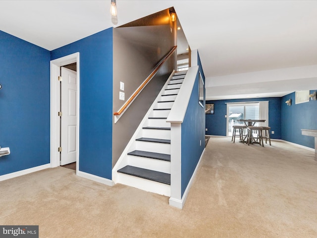 staircase with carpet floors