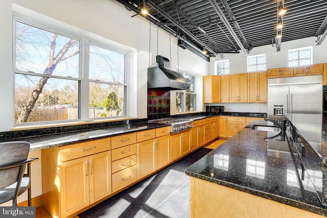 kitchen featuring stainless steel appliances, a sink, exhaust hood, a towering ceiling, and dark stone countertops