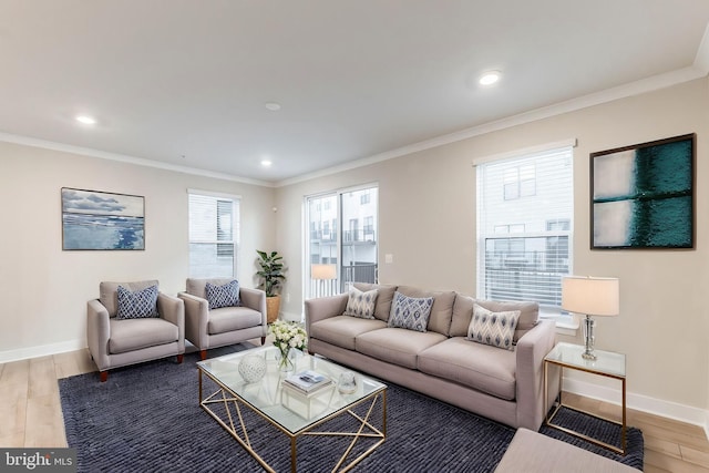 living room featuring crown molding and light hardwood / wood-style floors