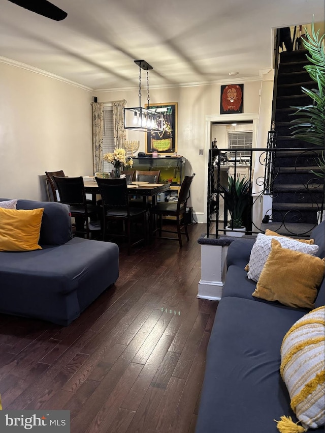 living room with ornamental molding and dark hardwood / wood-style flooring