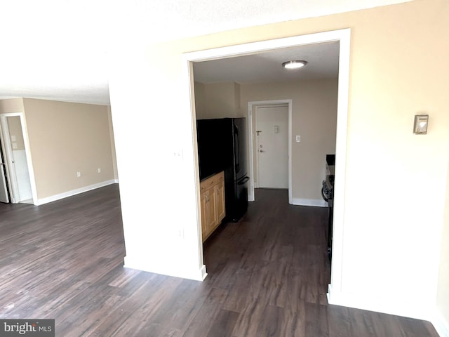 hallway featuring dark wood-type flooring