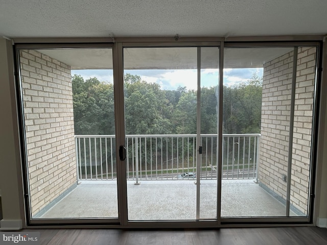 doorway featuring hardwood / wood-style floors, plenty of natural light, and a textured ceiling