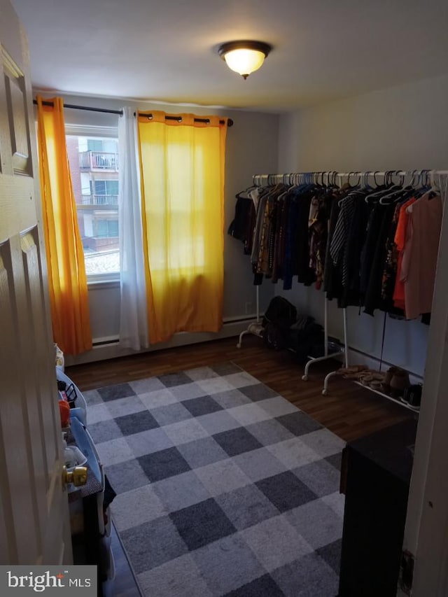 walk in closet featuring dark hardwood / wood-style floors