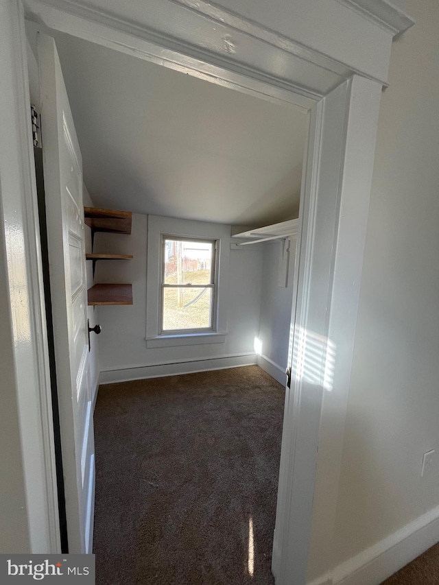 spacious closet with dark colored carpet