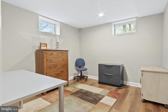 interior space featuring plenty of natural light and light wood-type flooring