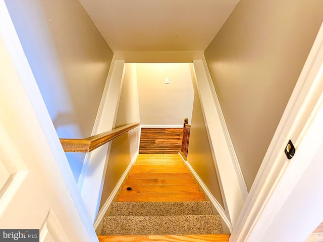 staircase with hardwood / wood-style flooring