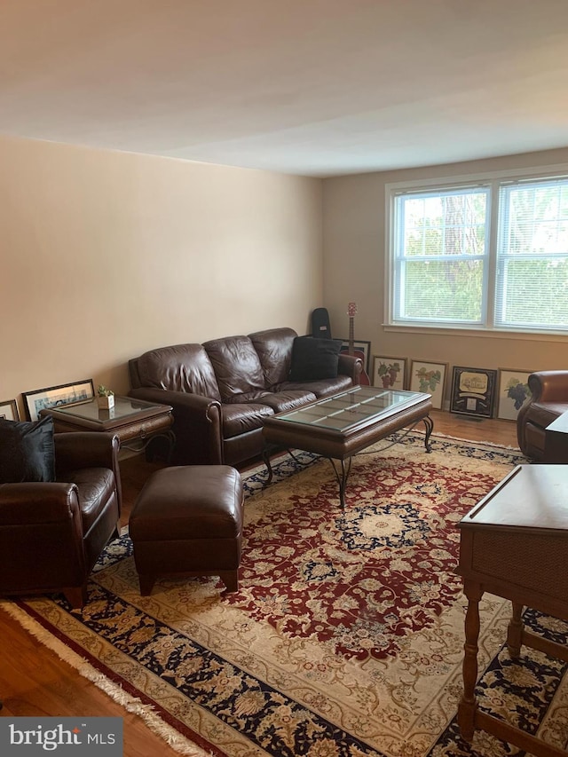 living room with hardwood / wood-style flooring