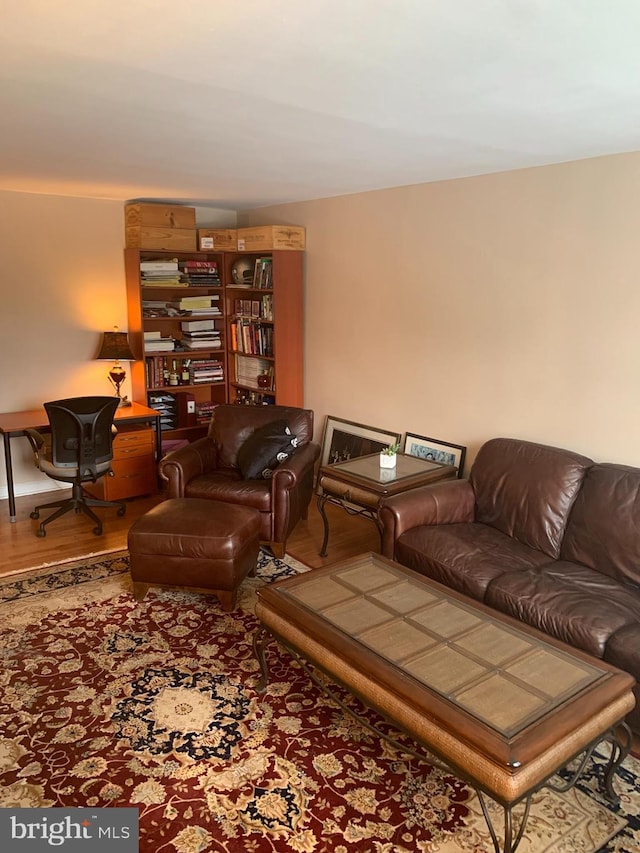 living room with wood-type flooring