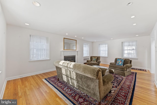 living room with light wood-type flooring