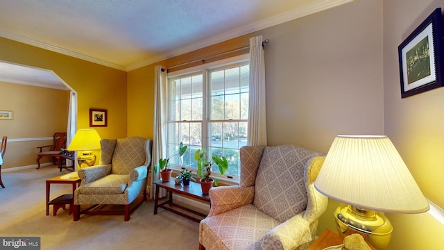 sitting room with carpet flooring and crown molding