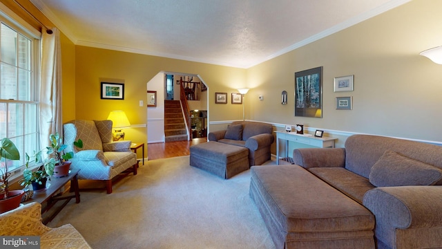 carpeted living room featuring ornamental molding and plenty of natural light