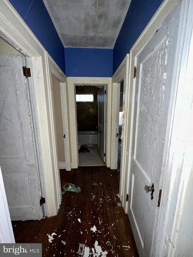 hallway with dark hardwood / wood-style flooring