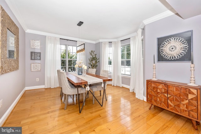 dining space featuring a wealth of natural light, crown molding, and light hardwood / wood-style floors