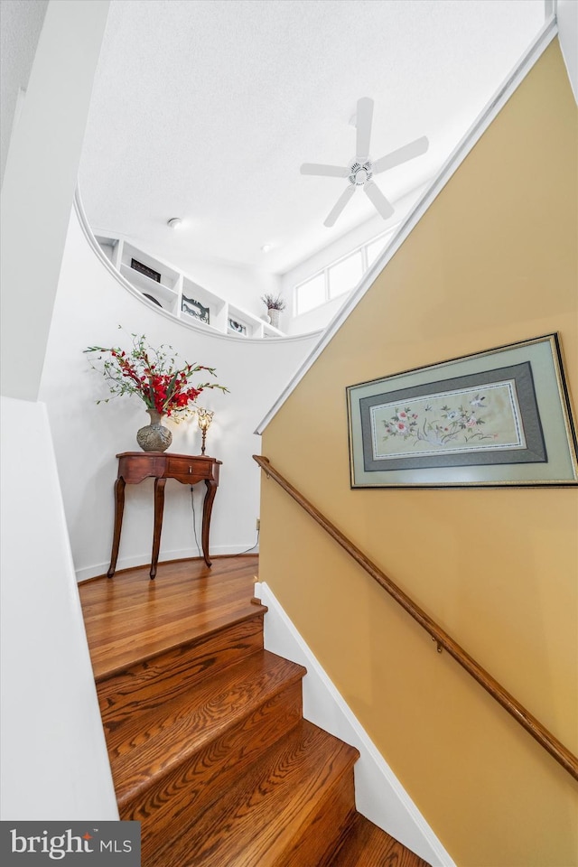 stairs featuring ceiling fan and hardwood / wood-style floors