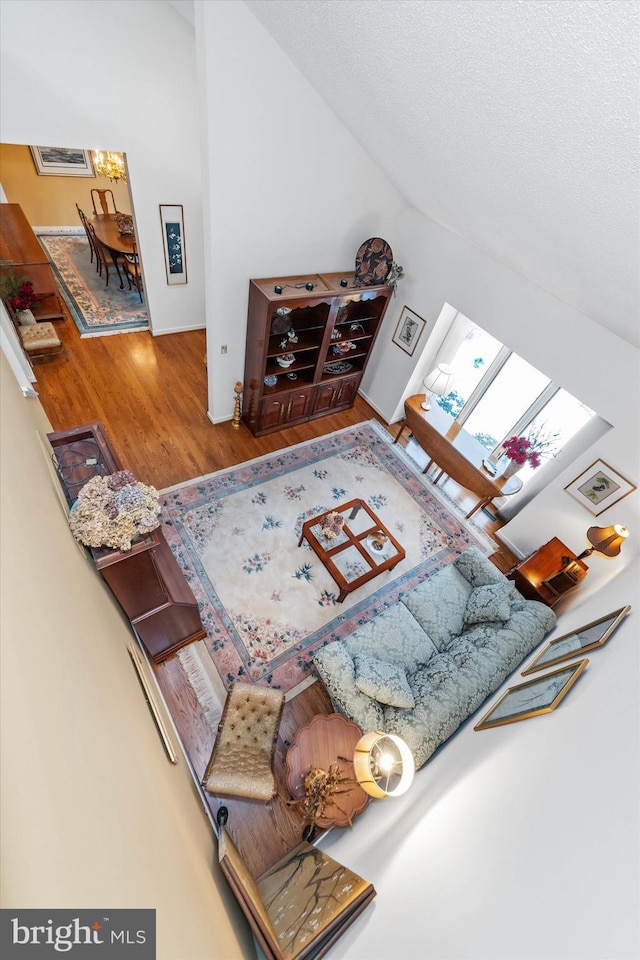 living room featuring a skylight and wood-type flooring