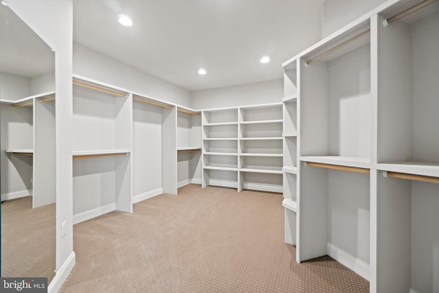 walk in closet featuring light colored carpet