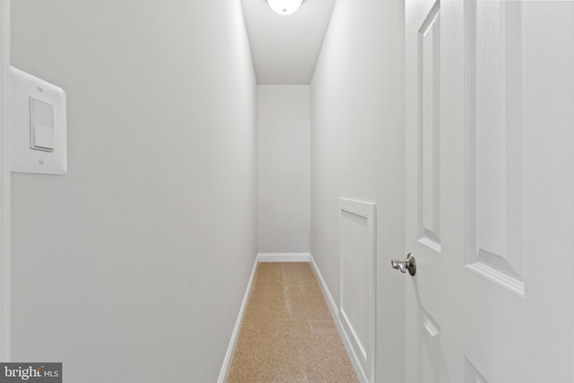 walk in closet with light carpet