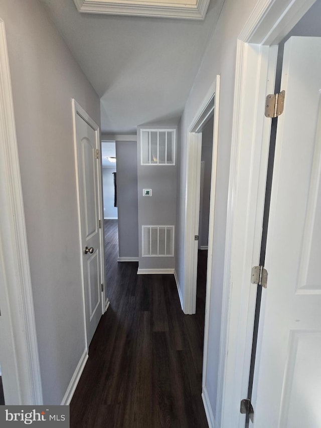 hall with dark wood-type flooring