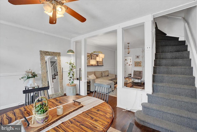 dining space featuring dark wood-type flooring, ornamental molding, and ceiling fan