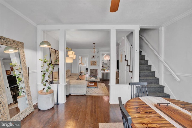 dining space with radiator, crown molding, dark wood-type flooring, and ceiling fan