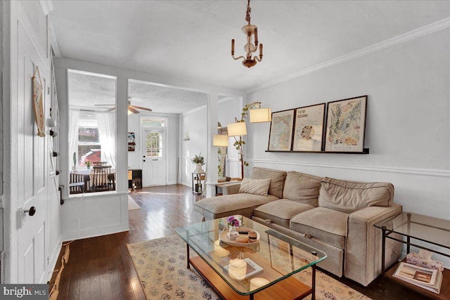 living room featuring dark wood-type flooring, ceiling fan, and crown molding