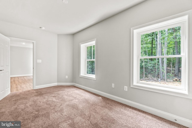 view of carpeted empty room