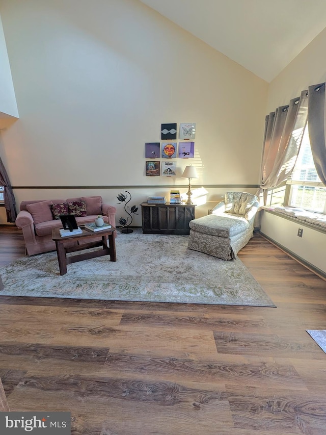 living room with wood-type flooring and vaulted ceiling