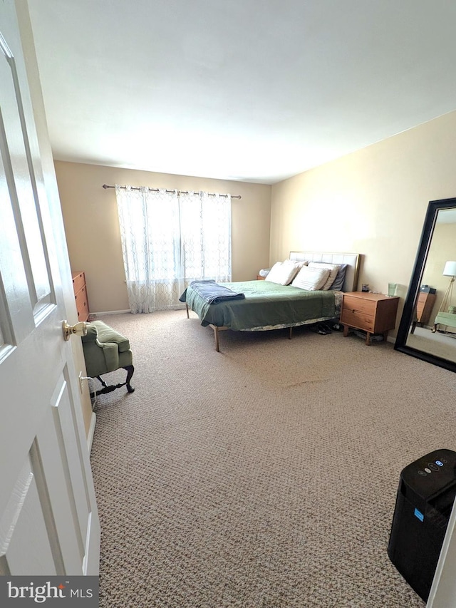 view of carpeted bedroom