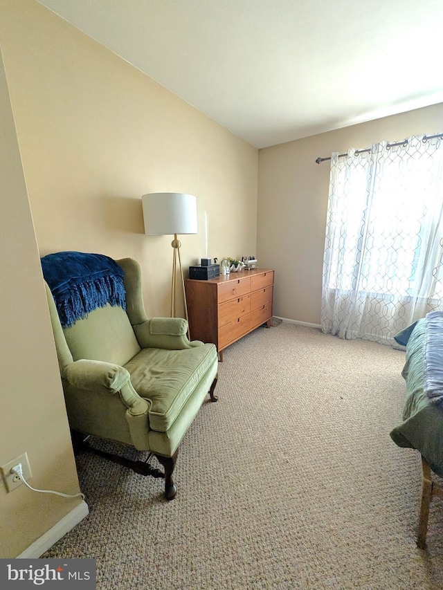 living area featuring carpet flooring