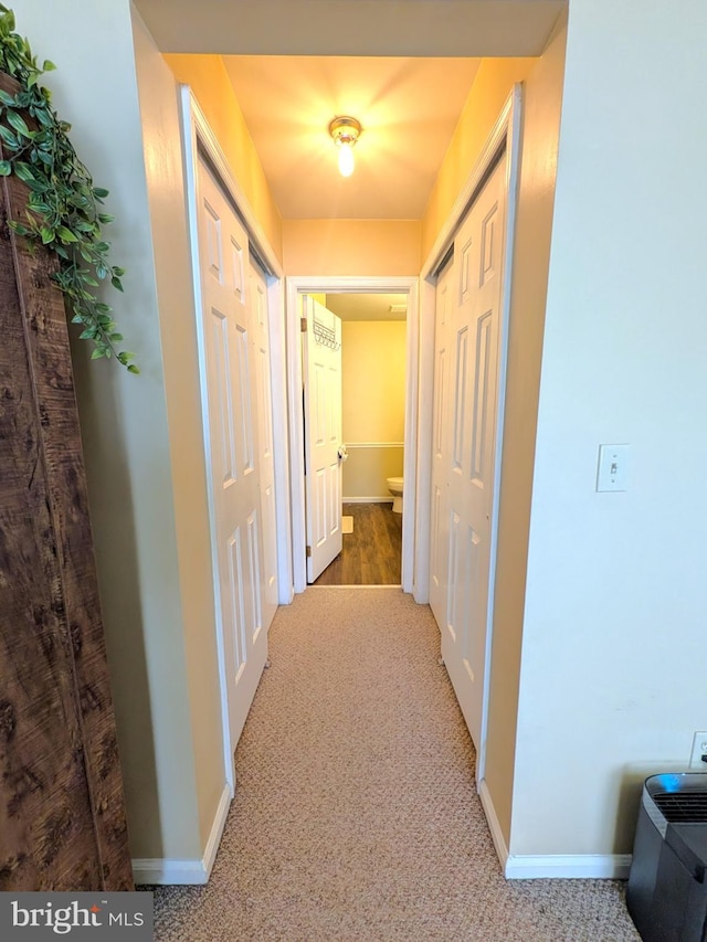 corridor featuring carpet floors