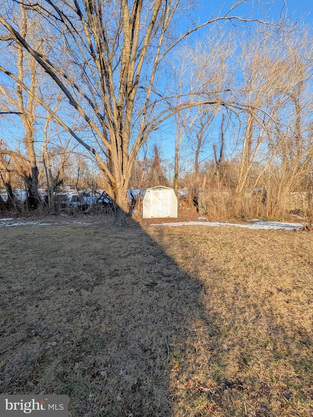 view of yard with a storage unit