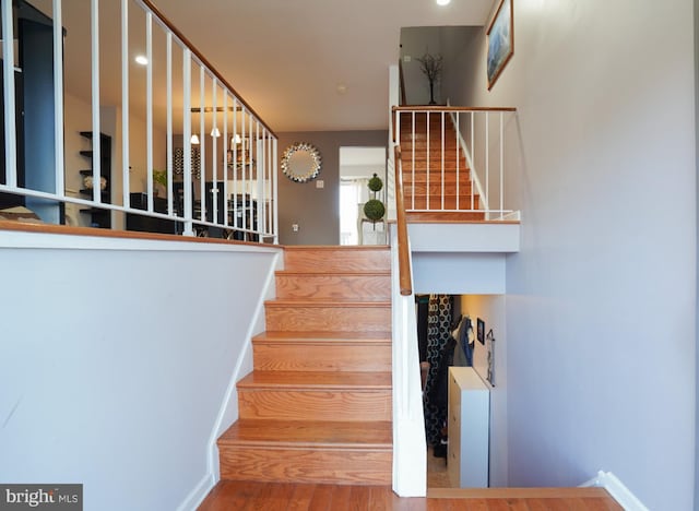 stairway featuring wood-type flooring