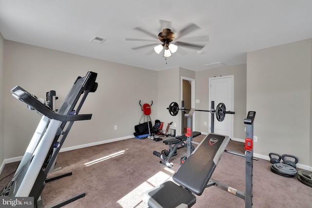 workout area with carpet floors and ceiling fan