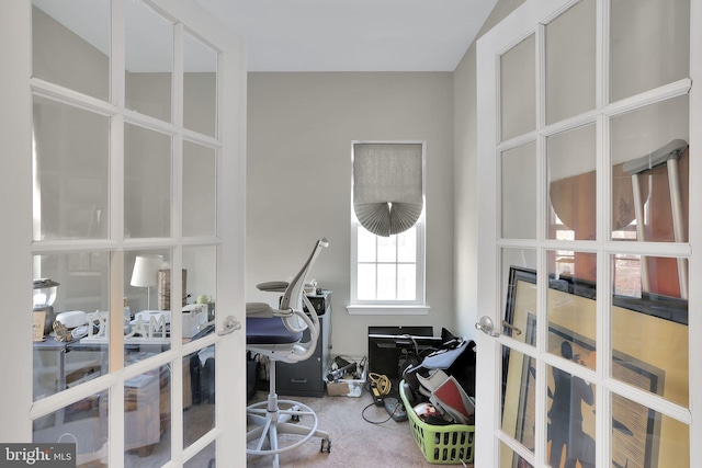 exercise area featuring carpet and french doors