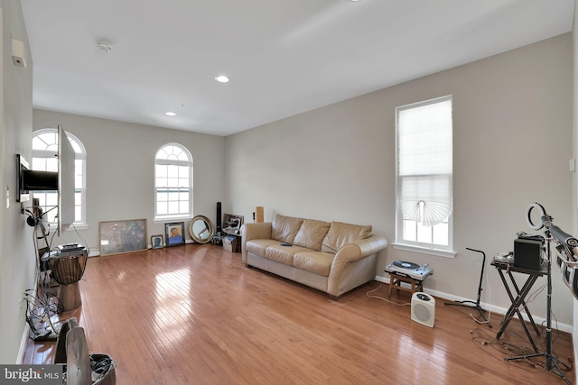 living room with light wood-type flooring